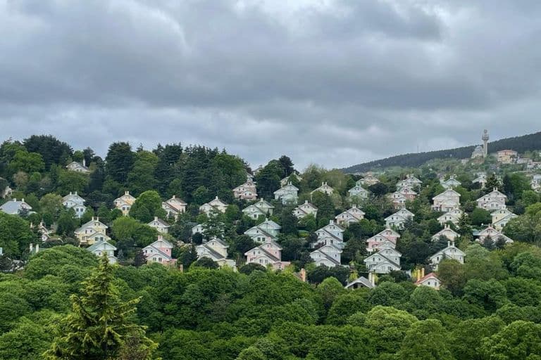 Acarkent'te Satılık Yenilenmiş Satılık Ticari Villa 7